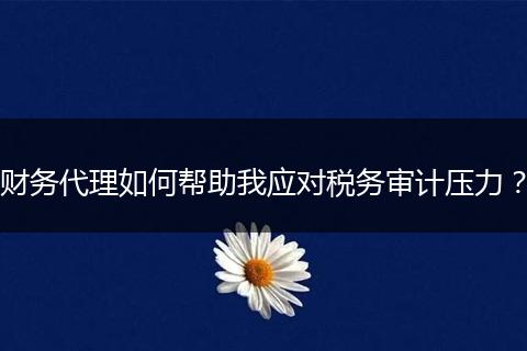 财务代理如何帮助我应对税务审计压力?