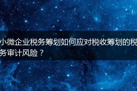 小微企业税务筹划如何应对税收筹划的税务审计风险?