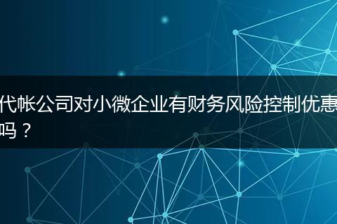 代帐公司对小微企业有财务风险控制优惠吗？