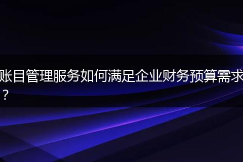 账目管理服务如何满足企业财务预算需求？