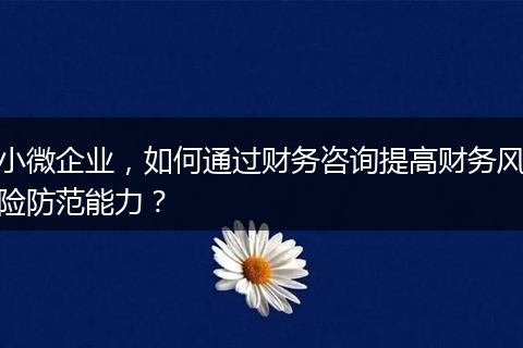 小微企业，如何通过财务咨询提高财务风险防范能力？