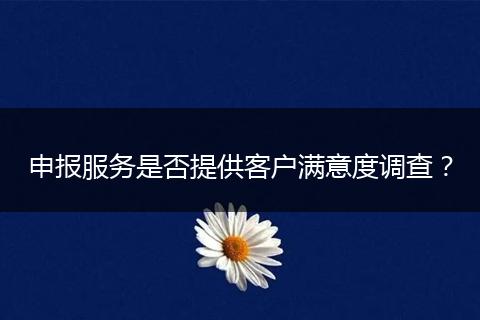 申报服务是否提供客户满意度调查？