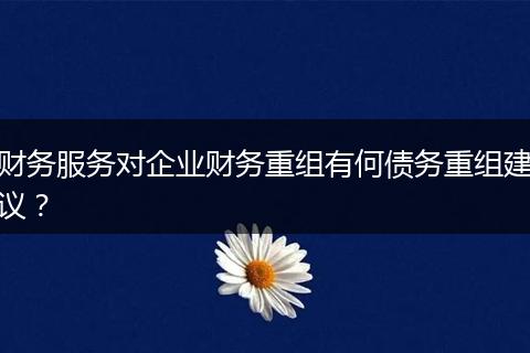 财务服务对企业财务重组有何债务重组建议？