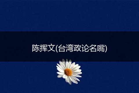 陈挥文(台湾政论名嘴)