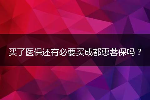 买了医保还有必要买成都惠蓉保吗？