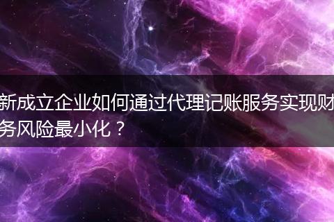 新成立企业如何通过代理记账服务实现财务风险最小化？