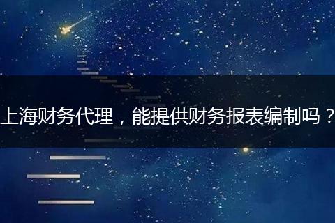 上海财务代理，能提供财务报表编制吗？