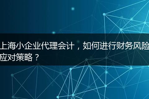上海小企业代理会计,如何进行财务风险应对策略?