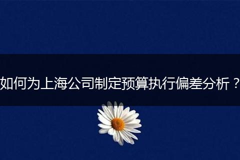 如何为上海公司制定预算执行偏差分析？