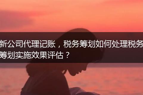 新公司代理记账，税务筹划如何处理税务筹划实施效果评估？