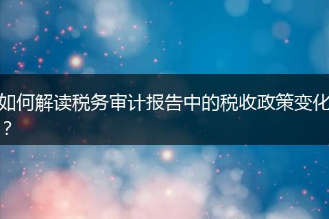 如何解读税务审计报告中的税收政策变化？