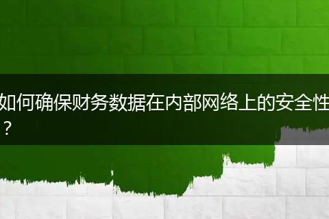 如何确保财务数据在内部网络上的安全性？