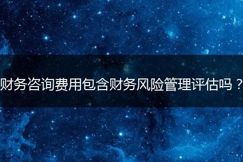 财务咨询费用包含财务风险管理评估吗？