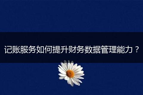 记账服务如何提升财务数据管理能力？