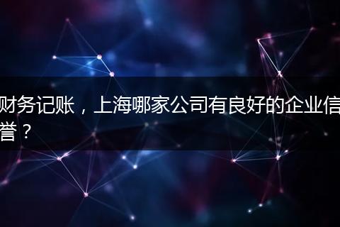 财务记账，上海哪家公司有良好的企业信誉？