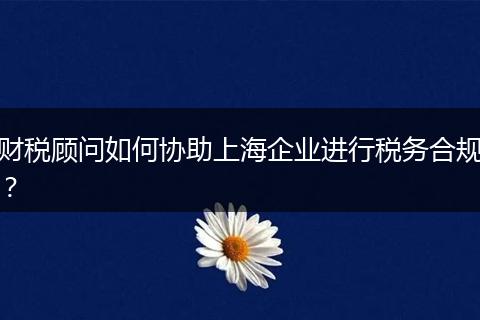 财税顾问如何协助上海企业进行税务合规？
