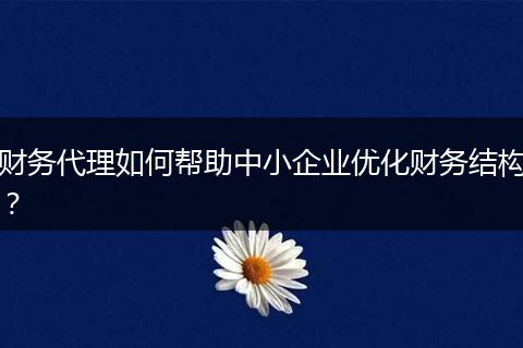 财务代理如何帮助中小企业优化财务结构？