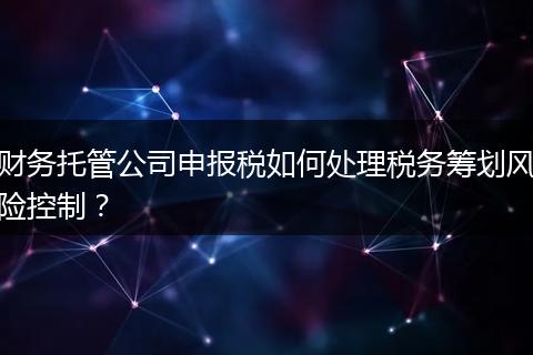 财务托管公司申报税如何处理税务筹划风险控制？
