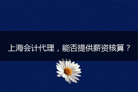 上海会计代理，能否提供薪资核算？