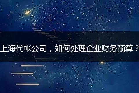 上海代帐公司，如何处理企业财务预算？