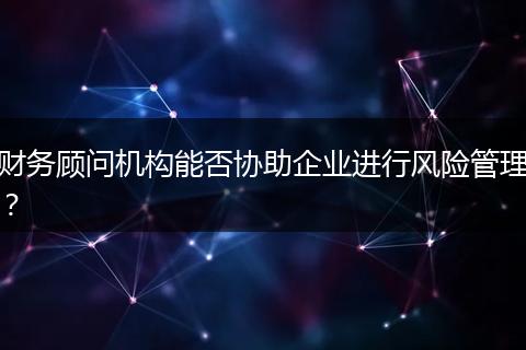 财务顾问机构能否协助企业进行风险管理？