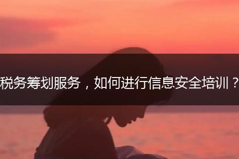 税务筹划服务，如何进行信息安全培训？