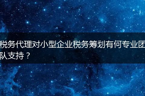 税务代理对小型企业税务筹划有何专业团队支持？