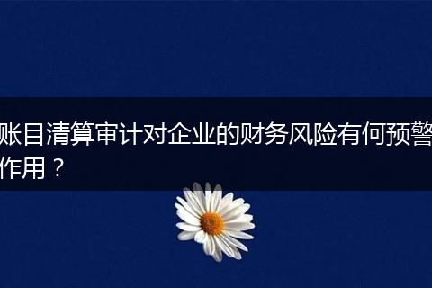 账目清算审计对企业的财务风险有何预警作用？