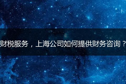 财税服务，上海公司如何提供财务咨询？