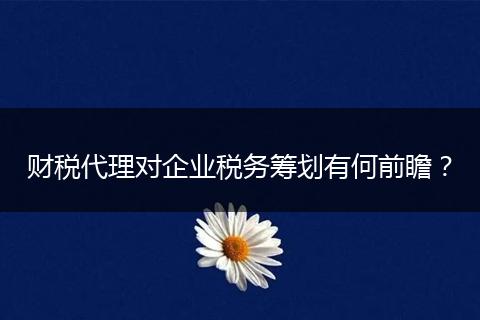 财税代理对企业税务筹划有何前瞻？