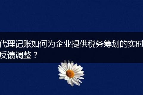 代理记账如何为企业提供税务筹划的实时反馈调整？