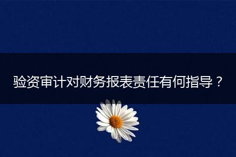 验资审计对财务报表责任有何指导？