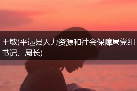 王敏(平远县人力资源和社会保障局党组书记、局长)