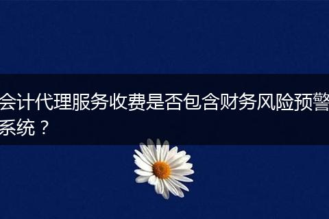 会计代理服务收费是否包含财务风险预警系统？