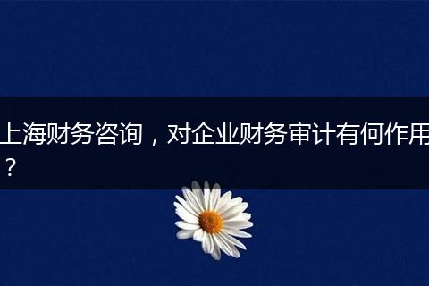 上海财务咨询，对企业财务审计有何作用？