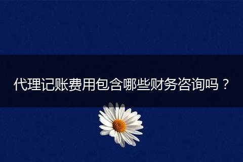 代理记账费用包含哪些财务咨询吗?