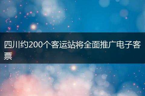 四川约200个客运站将全面推广电子客票