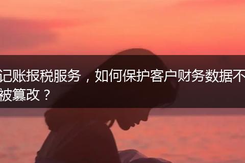 记账报税服务，如何保护客户财务数据不被篡改？