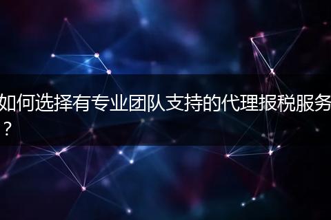 如何选择有专业团队支持的代理报税服务？
