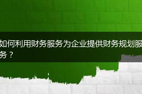 如何利用财务服务为企业提供财务规划服务？