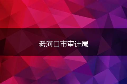 老河口市审计局