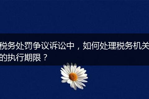 税务处罚争议诉讼中,如何处理税务机关的执行期限?