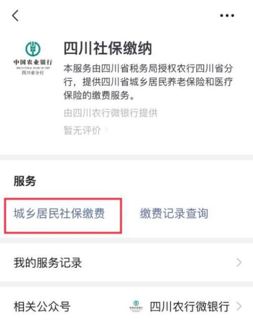 2021年成都市居民医保线上缴费汇总