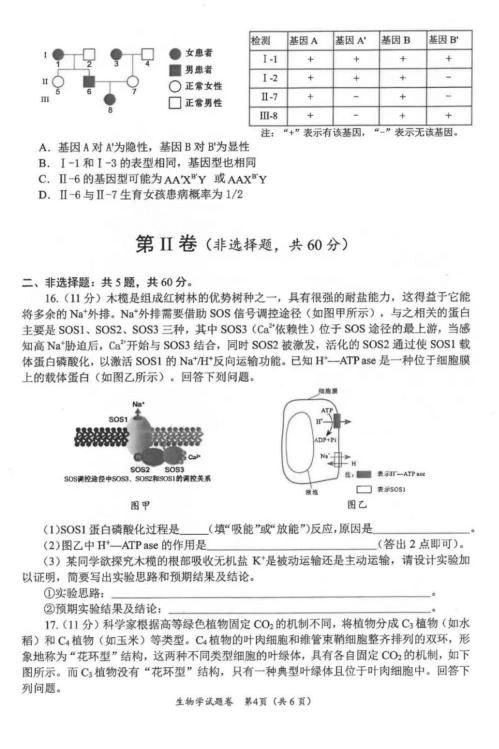 2024年绵阳一诊生物考试答案