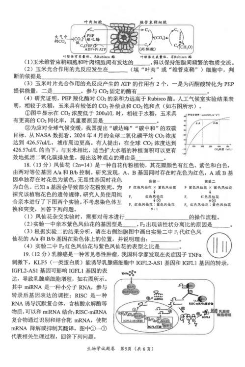 2024年绵阳一诊生物考试答案
