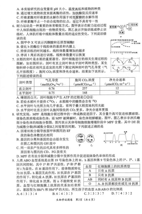 2024年绵阳一诊生物考试答案