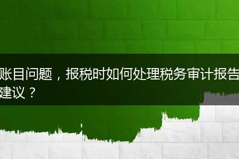 账目问题,报税时如何处理税务审计报告建议?