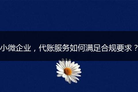 小微企业,代账服务如何满足合规要求?