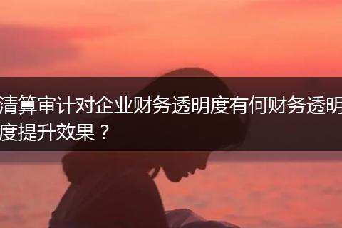 清算审计对企业财务透明度有何财务透明度提升效果?