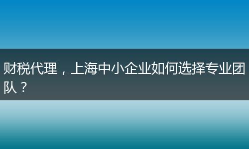 财税代理,上海中小企业如何选择专业团队?